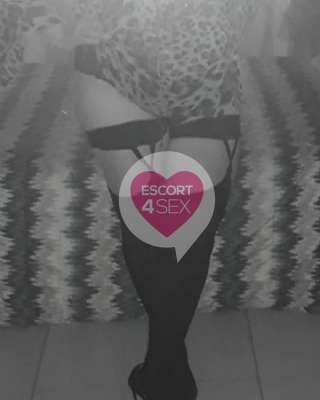 Novita italiana appena arrivata nella tua città fotografia:3